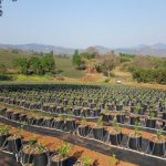 Namibia needs more sustainable ways of food production, says EOS Capital